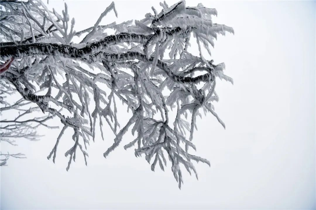 ΢ňDƬ